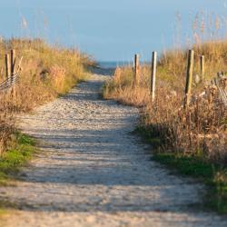 Isle of Palms 3 lake house rentals