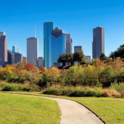 Houston 9 
