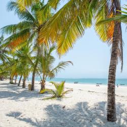 Diani Beach 5 sejururi all-inclusive