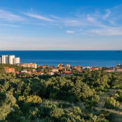 Sunny Beach 82 all-inclusive stays