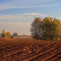 Krogulcza 1 готель