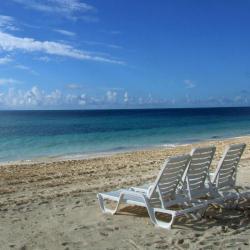 Vitória 87 pet-friendly hotels