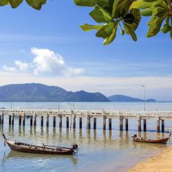 Manokwari 5 hotels
