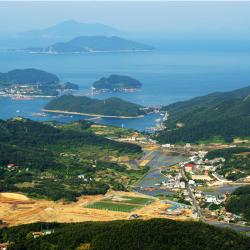 统营市 13家低价酒店