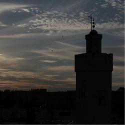 Kenitra 118 pet-friendly hotels
