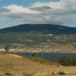 Summerland 8 hotels