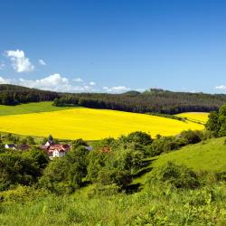 Hofas 19 viešbučių