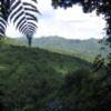 Dominica 2 hotels