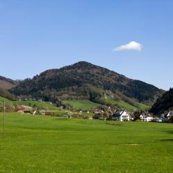 Glottertal 3 spa hotels