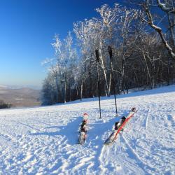 Ellicottville 34 hotel