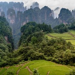 Zhangjiajie 5 hótel