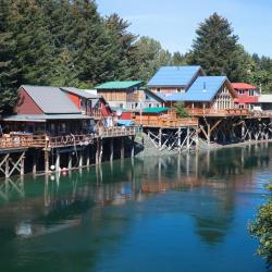 Seldovia 4 hotels