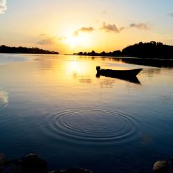 Campo Grande 60 holiday rentals