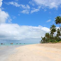 Praia do Francês 5 villas