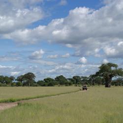 Kwa Kuchinia 6 hotels