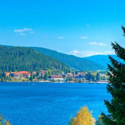 Titisee-Neustadt 9 cottages