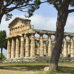 Paestum 50 B&Bs
