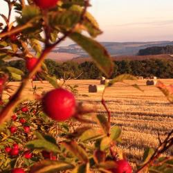 Turriff 16 holiday rentals