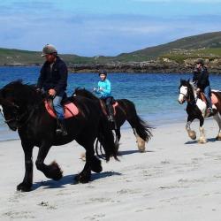 Listowel 11 vacation rentals
