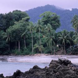 Bahía Solano 4 lodges