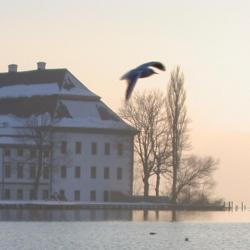 Seewalchen 4 apartmány
