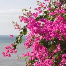 Torreilles 8 spa hotels