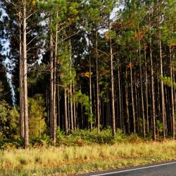 Tumut 22 hotels