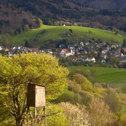 Schönberg 12 hotel