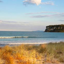 Whangamata 5 motels