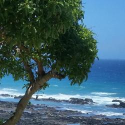 Sea View 3 homestays