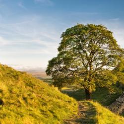 Haltwhistle 5 B&Bs