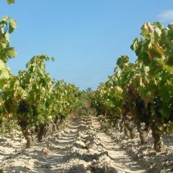 Baixas 7 hotels
