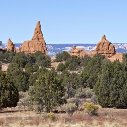 Escalante 21 cheap hotels