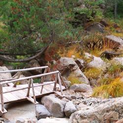 Samar&iacute;na 4 hot&eacute;is com estacionamento