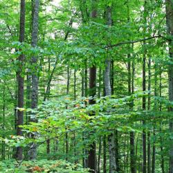 Melle 18 acomoda&ccedil;&otilde;es