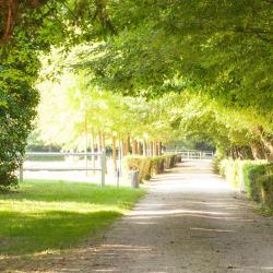 Saint-Astier 3 Bed & Breakfasts