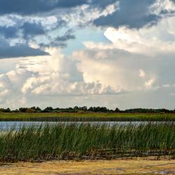 Banagher 6 holiday rentals