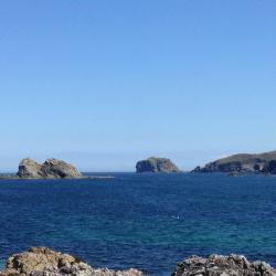 Carndonagh 5 pet-friendly hotels