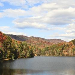 Ellijay Brunarice (19)