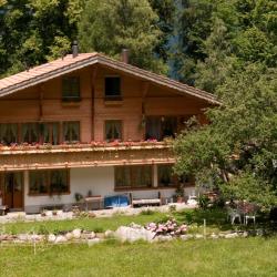 Innertkirchen 9 holiday rentals