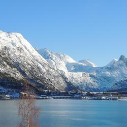 Isfjorden 7 будинків для відпустки