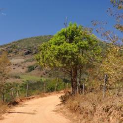 Ourinhos 38 hotels
