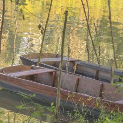 Kanjiža 5 holiday rentals