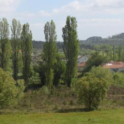 Ourém 9 holiday rentals