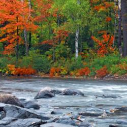 Haliburton 8 hytter