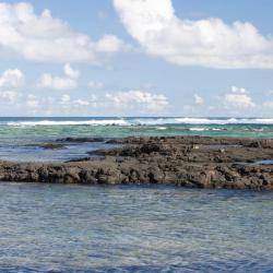 Pahoa 8 B&Bs
