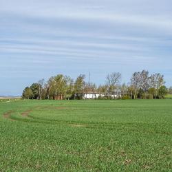 Saal 40 hotels met parkeren