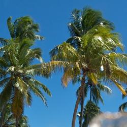 Estância 9 beach rentals
