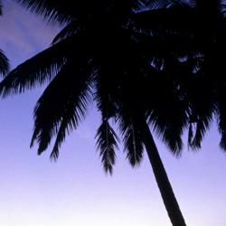 Thong Nai Pan Yai 23 hotels with parking