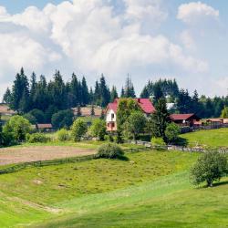 Mărişel 5 B&Bs